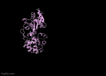 Protein undergoing a conformational change